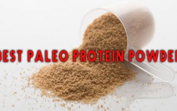 Best Paleo Protein Powder List of 2021