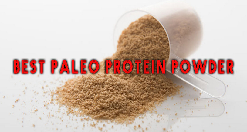 Best paleo protein powder